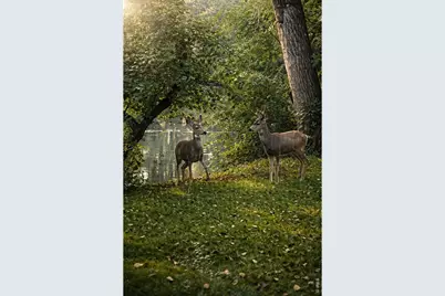 1901 Waters Edge St #E, Fort Collins, CO 80526 - Photo 48