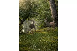 1901 Waters Edge St, Fort Collins, CO 80526 - Photo 48