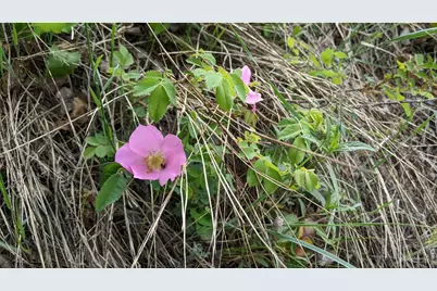 1312 Chute Rd, Golden, CO 80403 - Photo 20