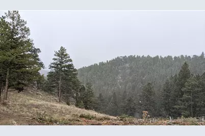 1312 Chute Rd, Golden, CO 80403 - Photo 14