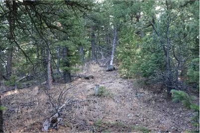 1312 Chute Rd, Golden, CO 80403 - Photo 4