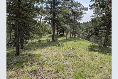 1312 Chute Rd, Golden, CO 80403 - Photo 6