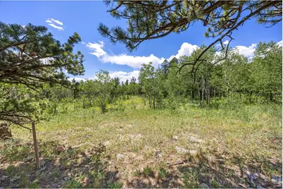 1568 County Road 103, Nederland, CO 80466 - Photo 2