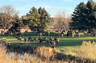 4339 Golf Vista Dr, Loveland, CO 80537 - Photo 2