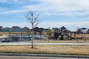 5531 Teeling Ct, Timnath, CO 80547 - Photo 46