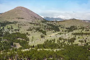 201 Wild Tiger Rd, Boulder, CO 80302 - Photo 34