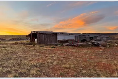 8157 Ferret Cir, Livermore, CO 82070 - Photo 24