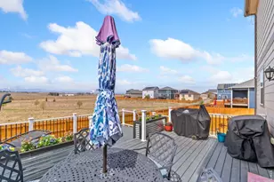 14553 Holstein Dr, Mead, CO 80542 - Photo 30