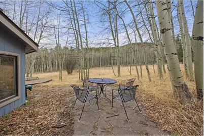 438 N County Rd, Rollinsville, CO 80474 - Photo 6
