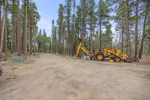 438 N County Rd, Rollinsville, CO 80474 - Photo 50