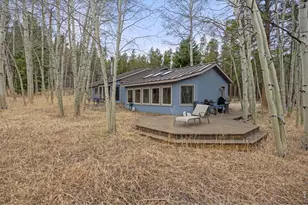 438 N County Rd, Rollinsville, CO 80474 - Photo 4