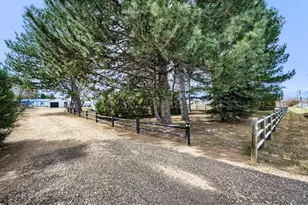 8438 Hygiene Rd, Longmont, CO 80503 - Photo 42