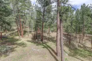166 Cherokee Rd, Lyons, CO 80540 - Photo 16