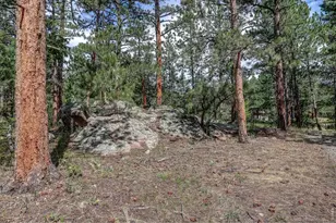 166 Cherokee Rd, Lyons, CO 80540 - Photo 42