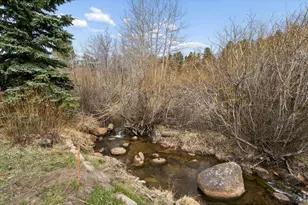 609 W 4th St, Nederland, CO 80466 - Photo 2