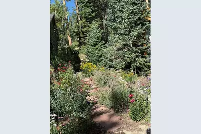 124 Ski Rd, Allenspark, CO 80510 - Photo 26