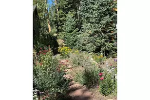 124 Ski Rd, Allenspark, CO 80510 - Photo 26