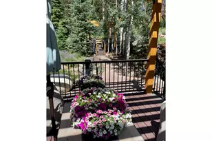 124 Ski Rd, Allenspark, CO 80510 - Photo 6