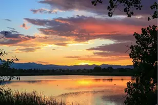 1934 Rannoch Dr, Longmont, CO 80504 - Photo 32