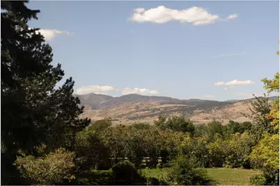 7007 Rozena Dr, Longmont, CO 80503 - Photo 16