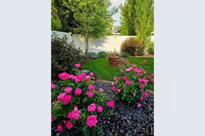 632 Denali Ct, Windsor, CO 80550 - Photo 46