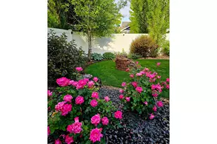 632 Denali Ct, Windsor, CO 80550 - Photo 46