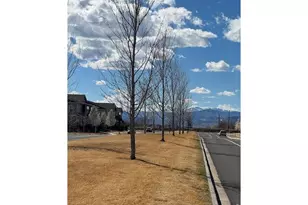 1691 Grand Ave, Windsor, CO 80550 - Photo 20