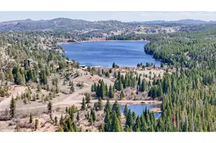 51 Tenino Ct, Red Feather Lakes, CO 80545 - Photo 46