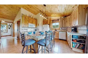 51 Tenino Ct, Red Feather Lakes, CO 80545 - Photo 12