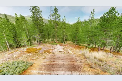 51 Tenino Ct, Red Feather Lakes, CO 80545 - Photo 42