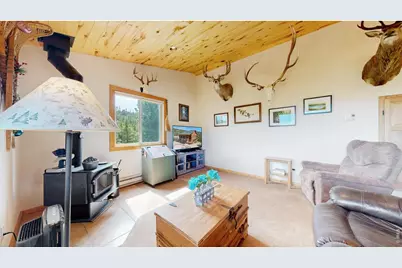 51 Tenino Ct, Red Feather Lakes, CO 80545 - Photo 6