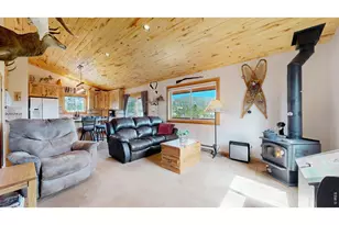 51 Tenino Ct, Red Feather Lakes, CO 80545 - Photo 10