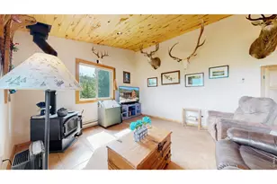 51 Tenino Ct, Red Feather Lakes, CO 80545 - Photo 8