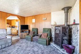 843 Nokomis Rd, Red Feather Lakes, CO 80545 - Photo 6