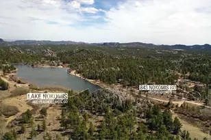 843 Nokomis Rd, Red Feather Lakes, CO 80545 - Photo 4