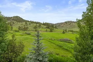 228 Mount Everest Dr, Livermore, CO 80536 - Photo 30