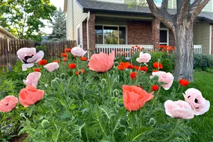 3507 Oak Hill Ct, Fort Collins, CO 80526 - Photo 42