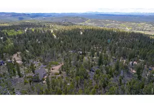 321 Tonkawa Dr, Red Feather Lakes, CO 80545 - Photo 6