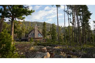 321 Tonkawa Dr, Red Feather Lakes, CO 80545 - Photo 4