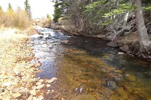 7498 Ottawa Way, Red Feather Lakes, CO 80545 - Photo 1