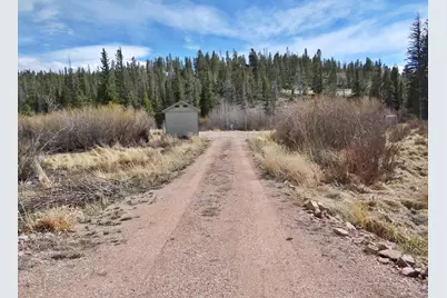 7498 Ottawa Way, Red Feather Lakes, CO 80545 - Photo 22