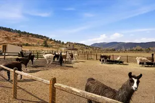 8000 N Co Rd 27, Loveland, CO 80538 - Photo 34