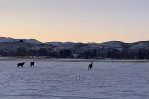 3501 Galway Dr, Laporte, CO 80535 - Photo 38