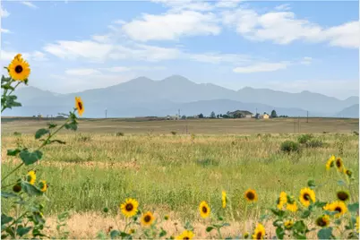 1 Cr 19, Fort Collins, CO 80524 - Photo 4
