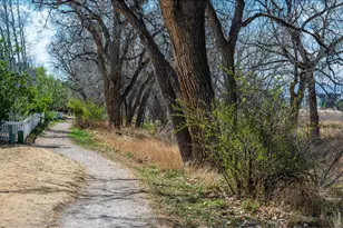2112 Pintail Dr, Longmont, CO 80504 - Photo 46