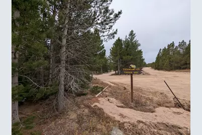 44 Catamount Ct, Red Feather Lakes, CO 80545 - Photo 12