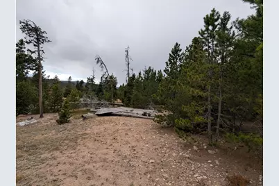 44 Catamount Ct, Red Feather Lakes, CO 80545 - Photo 8