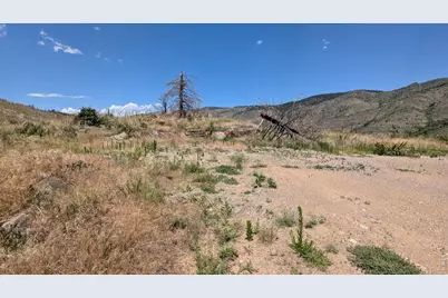 439 Redtail Ridge Way, Bellvue, CO 80512 - Photo 8