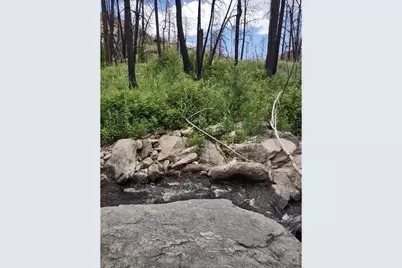 439 Redtail Ridge Way, Bellvue, CO 80512 - Photo 6