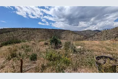 439 Redtail Ridge Way, Bellvue, CO 80512 - Photo 14